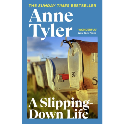 Vintage Publishing A Slipping Down Life (häftad, eng)