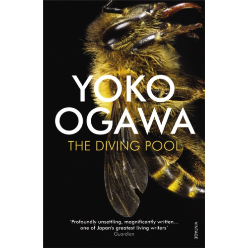 Vintage Publishing The Diving Pool (häftad, eng)