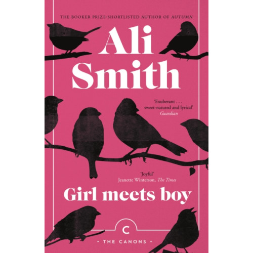 Canongate Books Girl Meets Boy (häftad, eng)