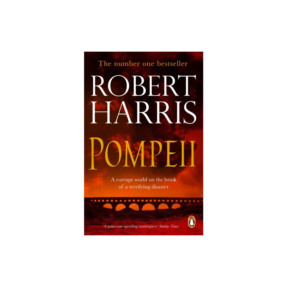 Produktbild för Pompeii (häftad, eng)