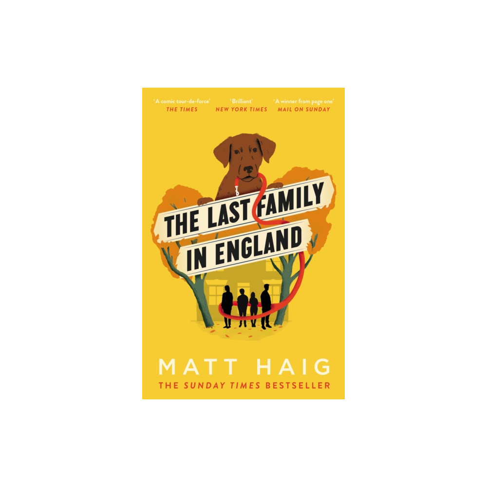 Produktbild för The Last Family in England (häftad, eng)