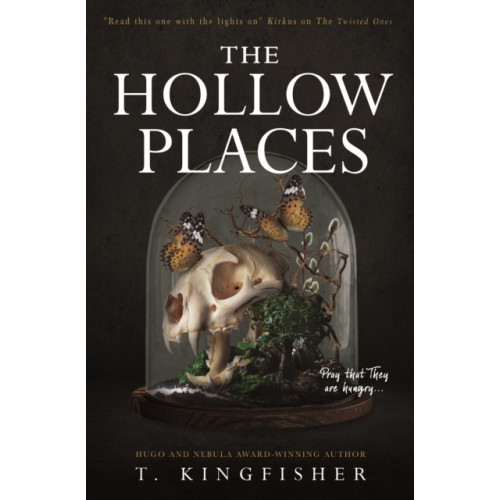 Titan Books Ltd The Hollow Places (häftad, eng)