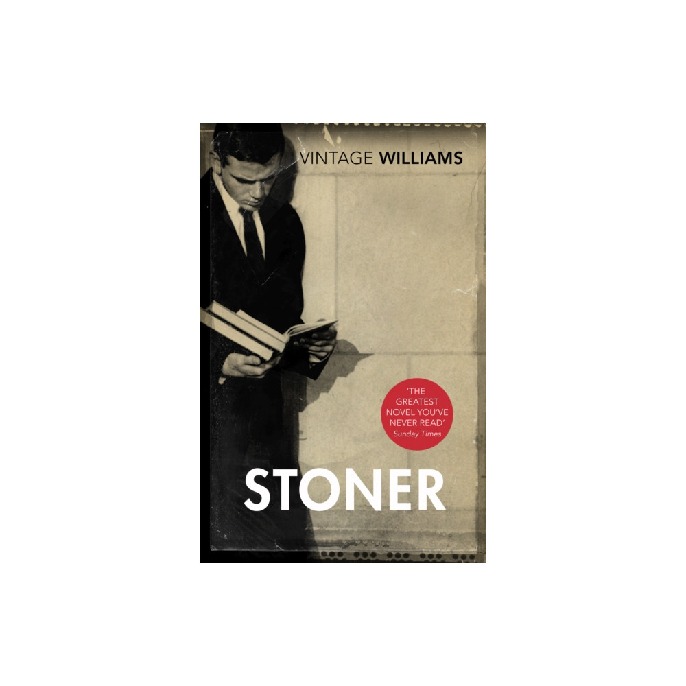 Produktbild för Stoner (häftad, eng)