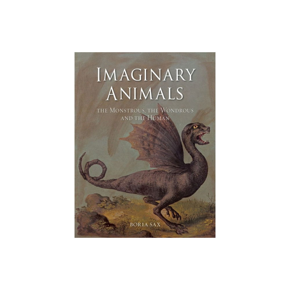 Produktbild för Imaginary Animals (häftad, eng)