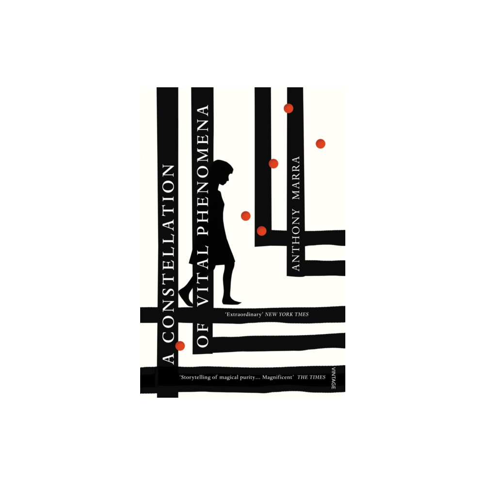 Produktbild för A Constellation of Vital Phenomena (häftad, eng)