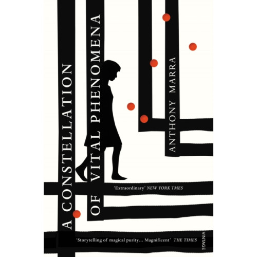 Vintage Publishing A Constellation of Vital Phenomena (häftad, eng)