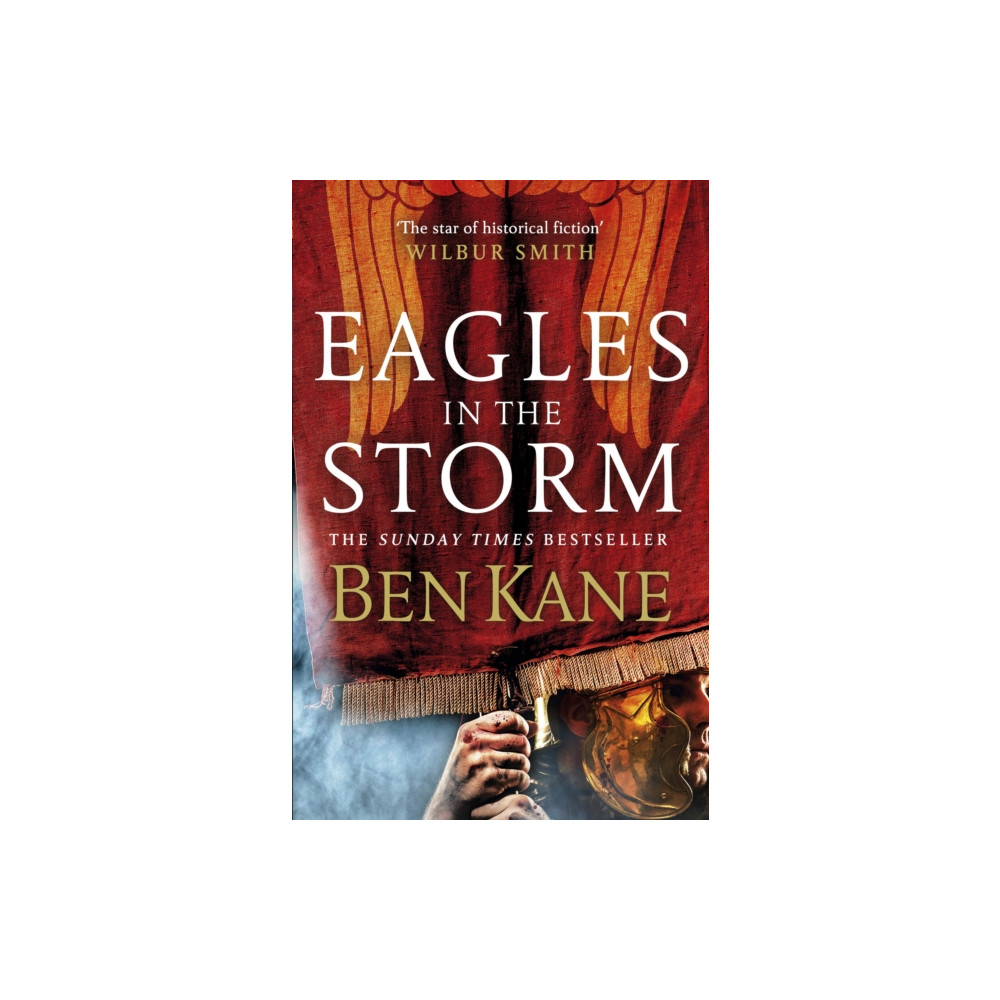 Produktbild för Eagles in the Storm (häftad, eng)