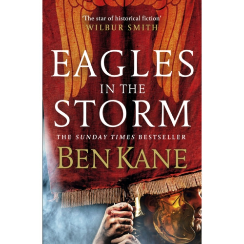 Cornerstone Eagles in the Storm (häftad, eng)