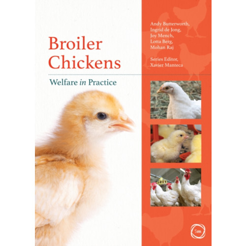 5M Books Ltd Broiler Chickens Welfare in Practice (häftad, eng)