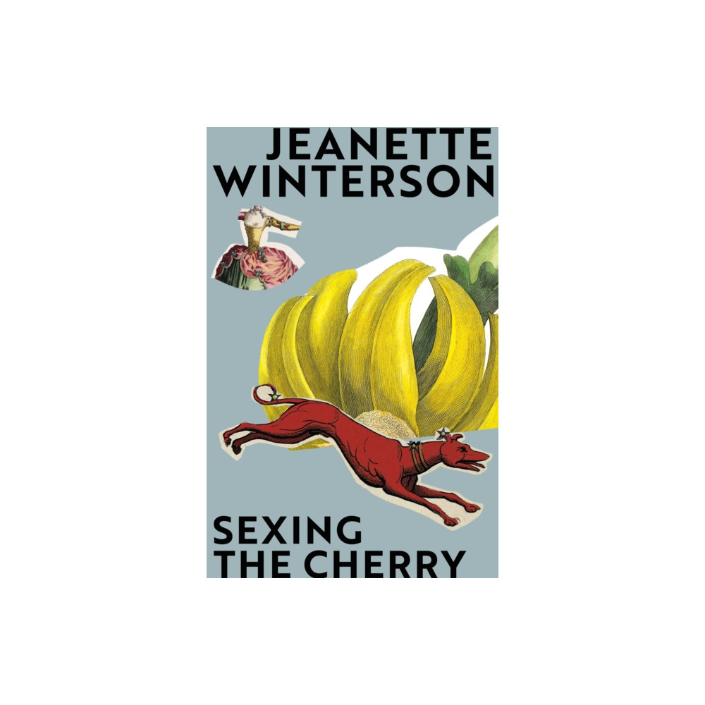 Produktbild för Sexing the Cherry (häftad, eng)