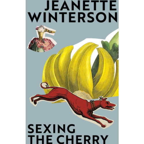 Vintage Publishing Sexing the Cherry (häftad, eng)