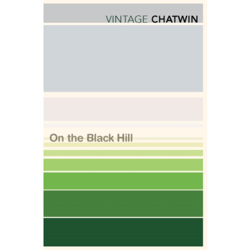 Vintage Publishing On The Black Hill (häftad, eng)