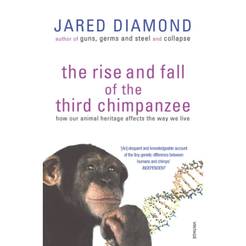 Vintage Publishing The Rise And Fall Of The Third Chimpanzee (häftad, eng)