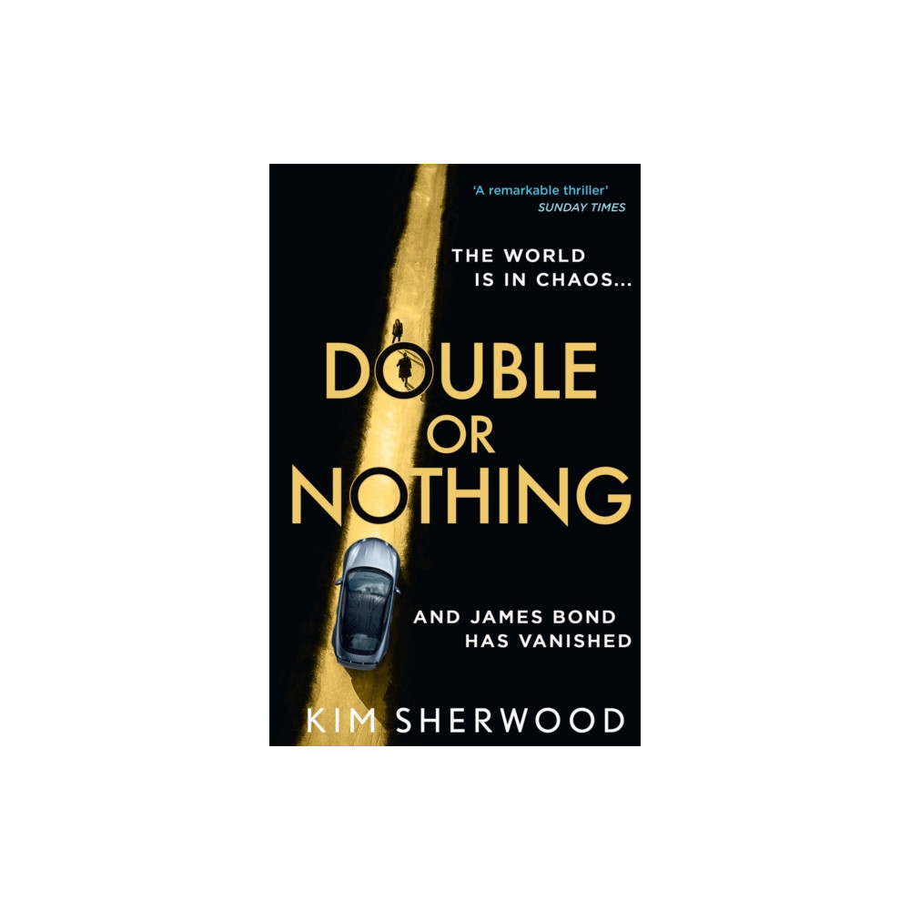 Produktbild för Double or Nothing (häftad, eng)