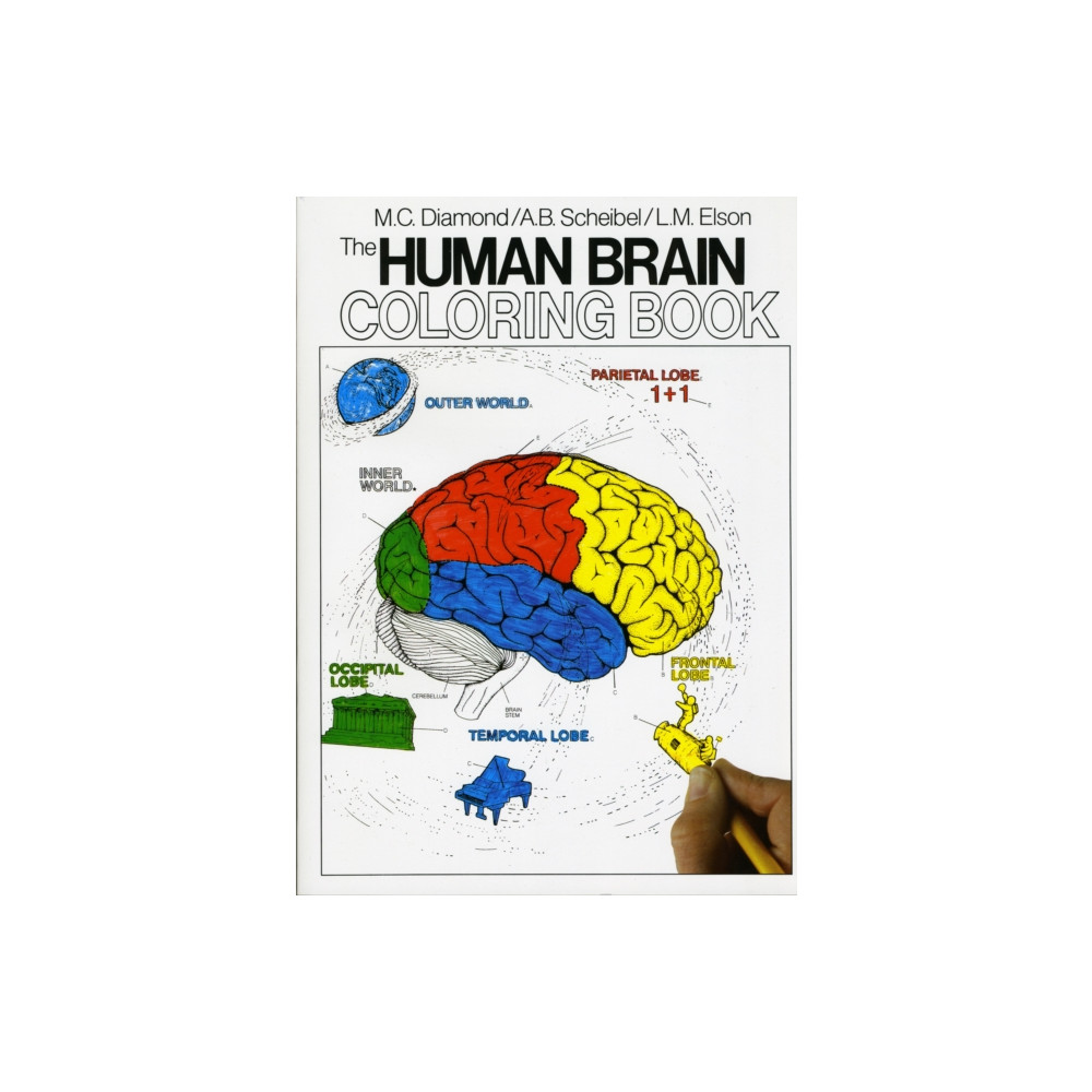 Produktbild för The Human Brain Coloring Book (häftad, eng)