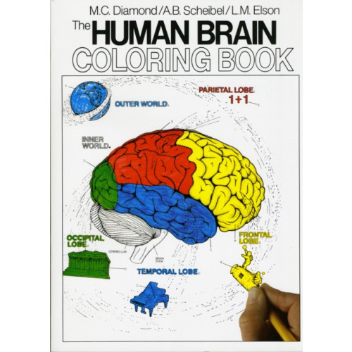 Harpercollins publishers inc The Human Brain Coloring Book (häftad, eng)