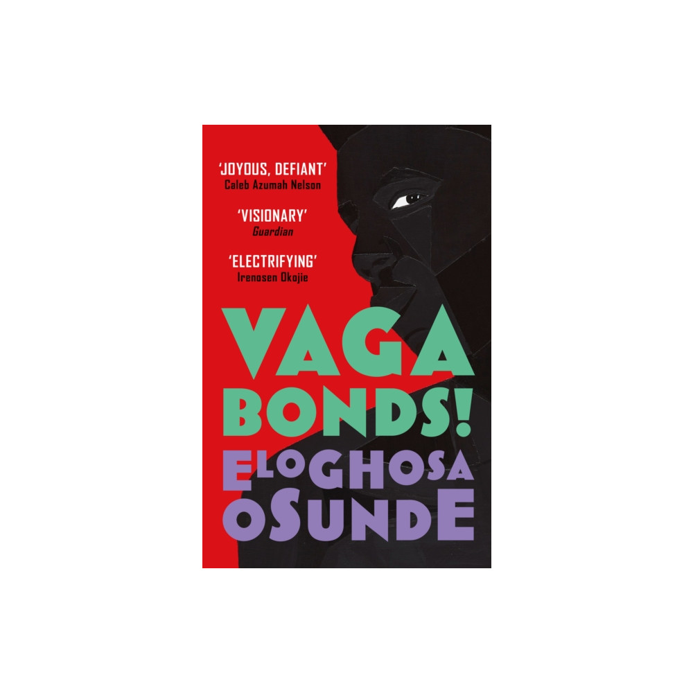 Produktbild för Vagabonds! (häftad, eng)