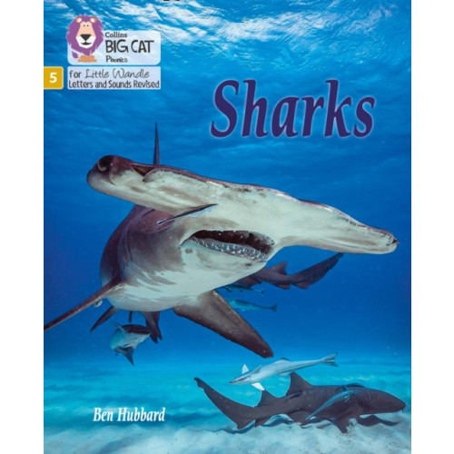 HarperCollins Publishers Sharks (häftad, eng)