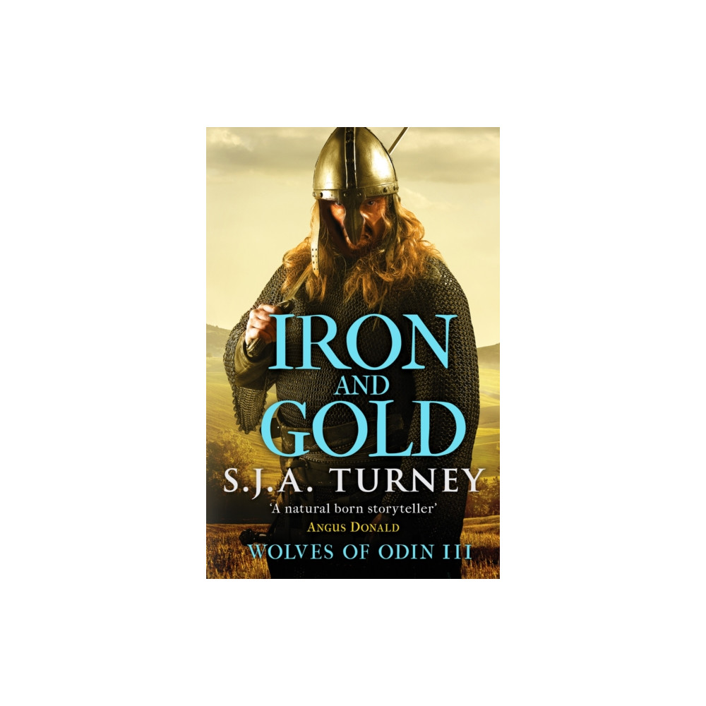 Produktbild för Iron and Gold (häftad, eng)