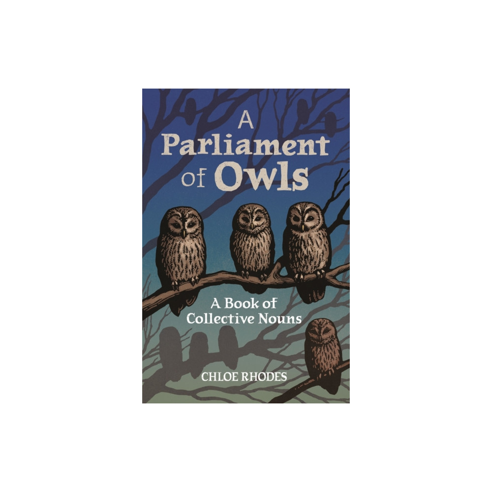 Produktbild för A Parliament of Owls (inbunden, eng)