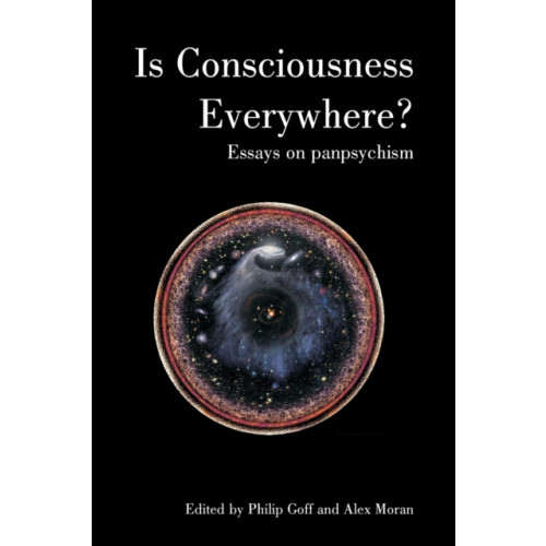 Imprint Academic Is Consciousness Everywhere? (häftad, eng)