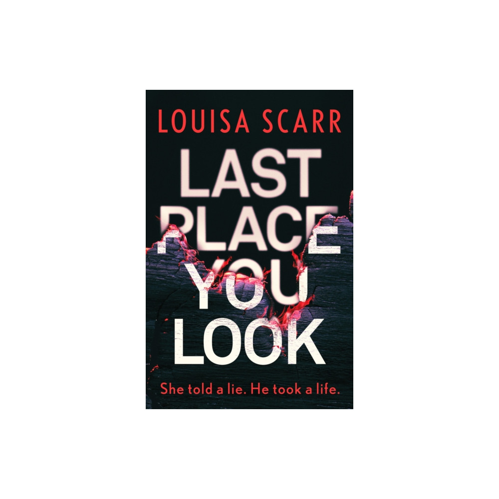Produktbild för Last Place You Look (häftad, eng)
