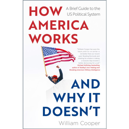 Gemini Books Group Ltd How America Works ... and Why It Doesnt (häftad, eng)