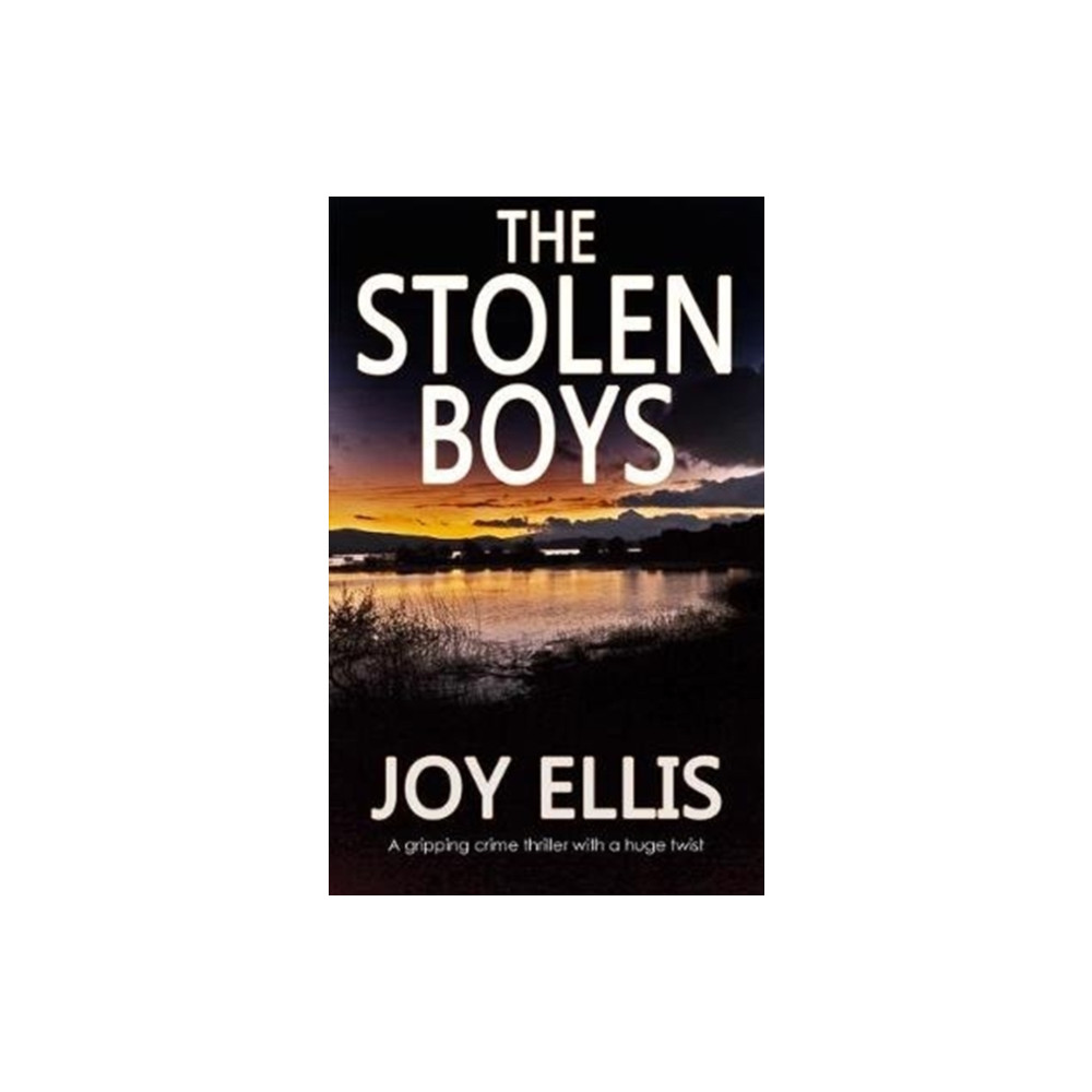 Produktbild för The Stolen Boys (häftad, eng)