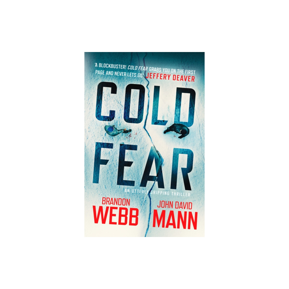 Produktbild för Cold Fear (häftad, eng)