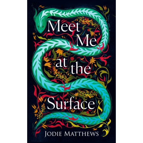 HarperCollins Publishers Meet Me at the Surface (inbunden, eng)