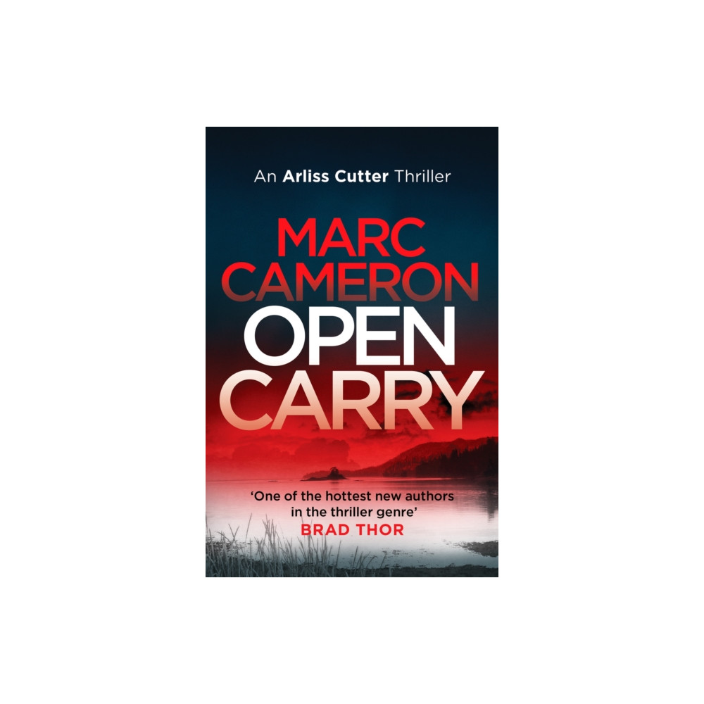 Produktbild för Open Carry (häftad, eng)