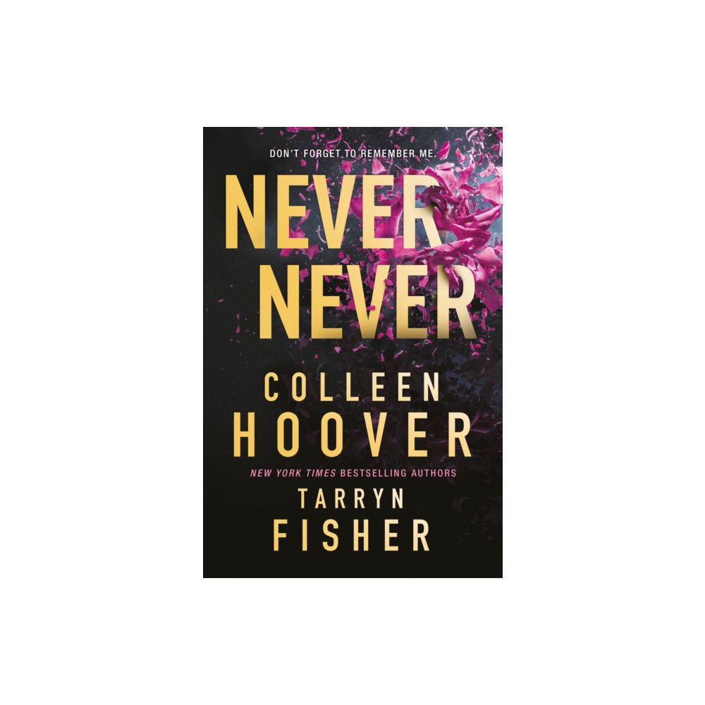 Produktbild för Never Never (häftad, eng)
