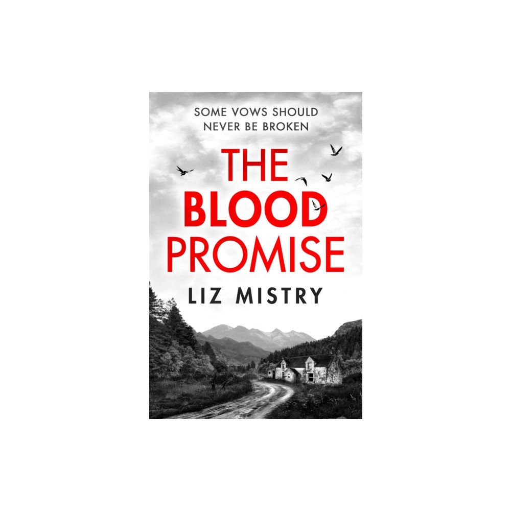 Produktbild för The Blood Promise (häftad, eng)