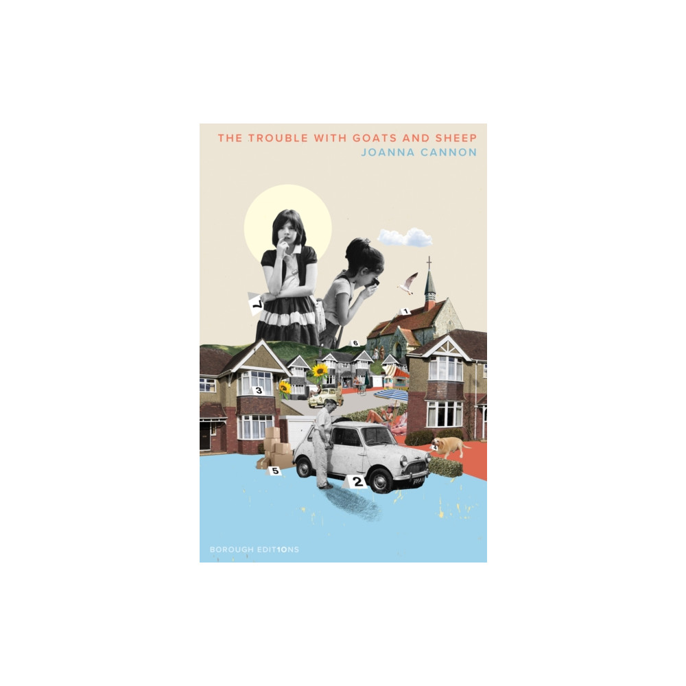 Produktbild för The Trouble with Goats and Sheep (häftad, eng)