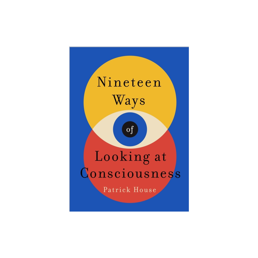 Produktbild för Nineteen Ways of Looking at Consciousness (häftad, eng)