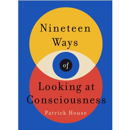 Headline Publishing Group Nineteen Ways of Looking at Consciousness (häftad, eng)