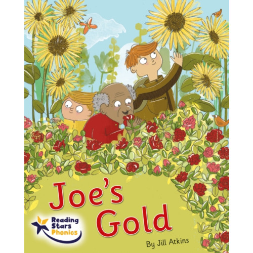 Ransom Publishing Joe's Gold (häftad, eng)