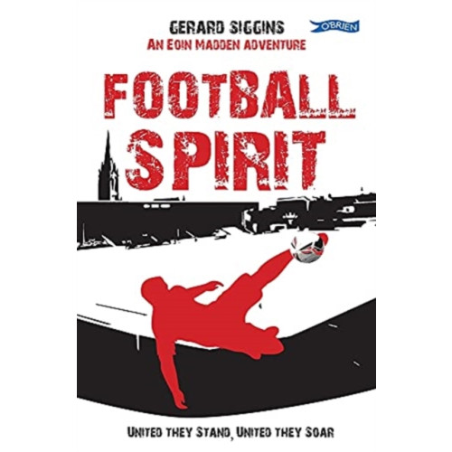 O'Brien Press Ltd Football Spirit (häftad, eng)