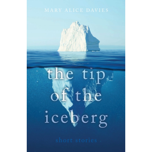 Troubador Publishing The Tip of the Iceberg (häftad, eng)