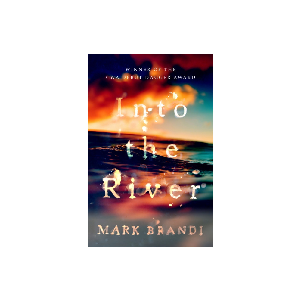 Produktbild för Into the River (häftad, eng)