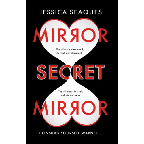 Troubador Publishing Mirror Secret Mirror (häftad, eng)