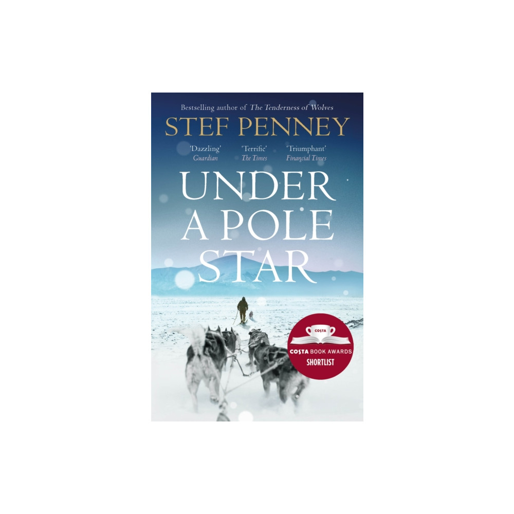Produktbild för Under a Pole Star (häftad, eng)