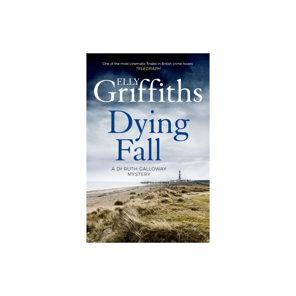 Produktbild för Dying Fall (häftad, eng)