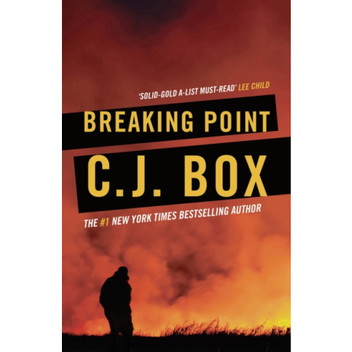 Bloomsbury Publishing PLC Breaking Point (häftad, eng)