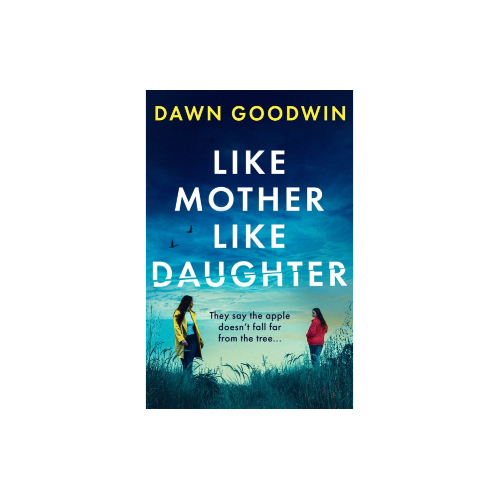 Produktbild för Like Mother, Like Daughter (häftad, eng)