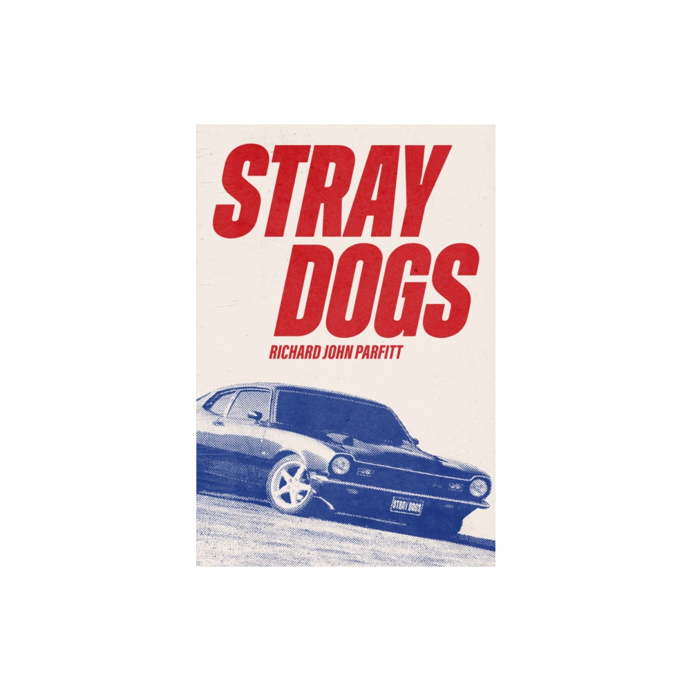 Produktbild för STRAY DOGS (häftad, eng)