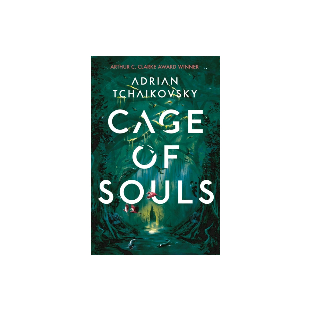 Produktbild för Cage of Souls (häftad, eng)
