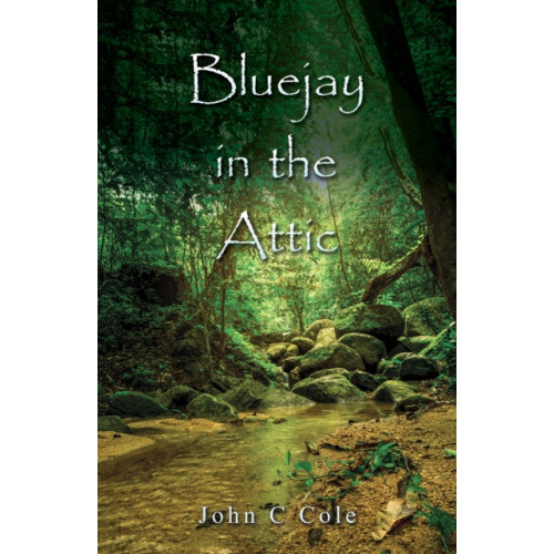 Austin Macauley Publishers LLC Bluejay in the Attic (häftad, eng)