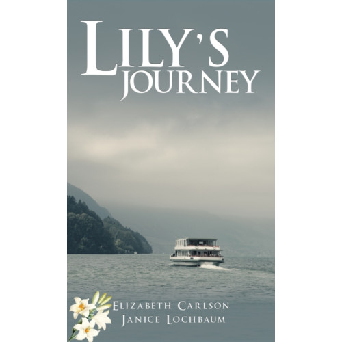 Austin Macauley Publishers LLC Lily's Journey (häftad, eng)