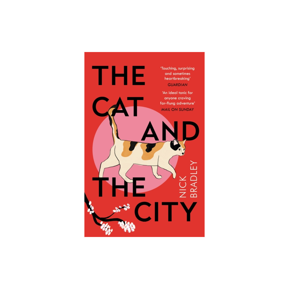 Produktbild för The Cat and The City (häftad, eng)